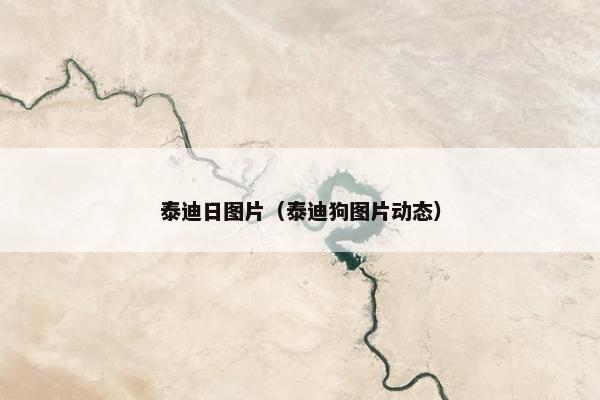 泰迪日图片（泰迪狗图片动态）