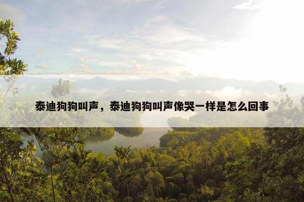 泰迪狗狗叫声，泰迪狗狗叫声像哭一样是怎么回事