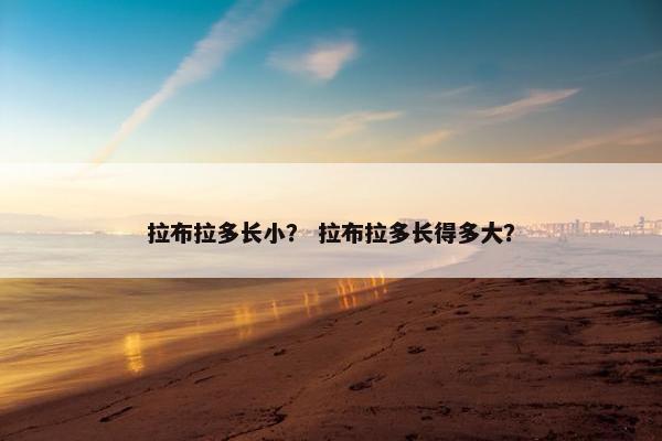 拉布拉多长小？ 拉布拉多长得多大？
