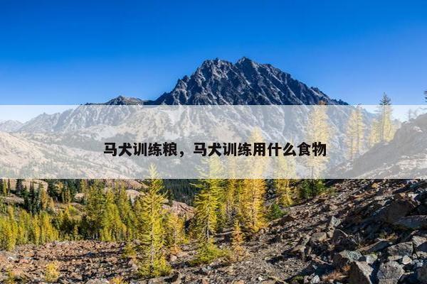 马犬训练粮，马犬训练用什么食物