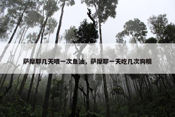 萨摩耶几天喂一次鱼油，萨摩耶一天吃几次狗粮