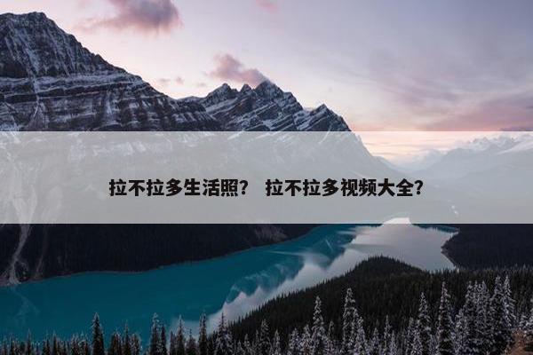 拉不拉多生活照？ 拉不拉多视频大全？