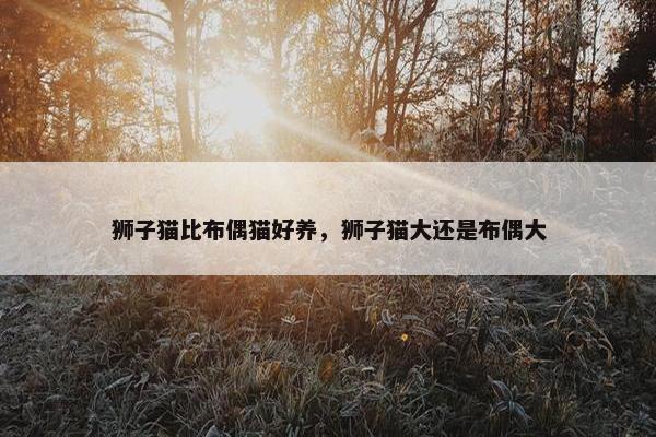 狮子猫比布偶猫好养，狮子猫大还是布偶大