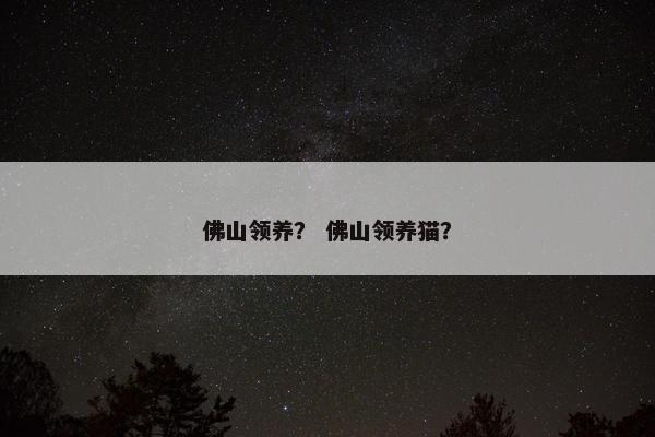 佛山领养？ 佛山领养猫？