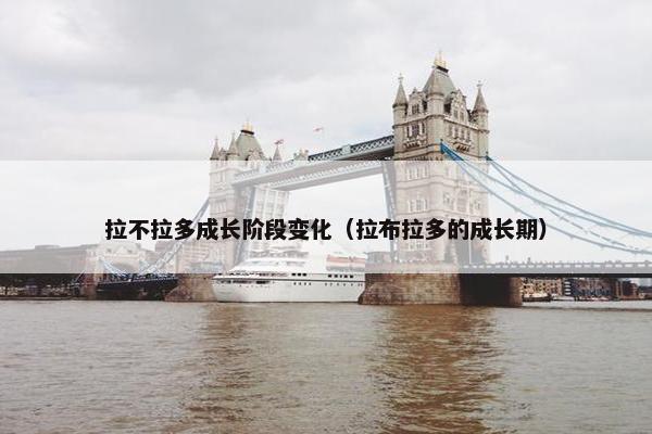 拉不拉多成长阶段变化（拉布拉多的成长期）