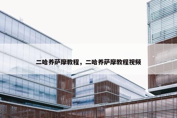 二哈养萨摩教程，二哈养萨摩教程视频
