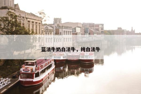 蓝法牛奶白法牛，纯白法牛