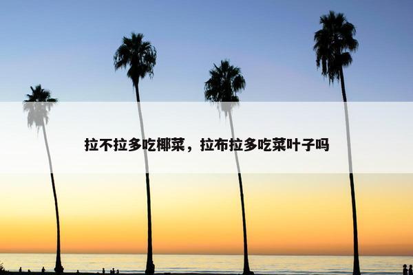 拉不拉多吃椰菜，拉布拉多吃菜叶子吗