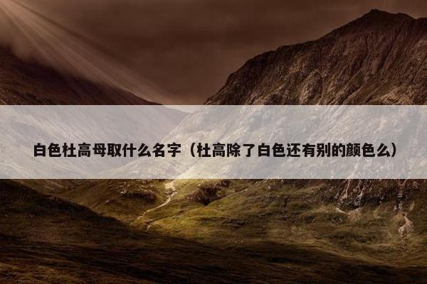 白色杜高母取什么名字（杜高除了白色还有别的颜色么）