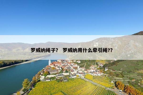 罗威纳绳子？ 罗威纳用什么牵引绳?？