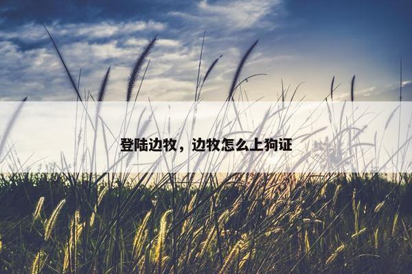 登陆边牧，边牧怎么上狗证