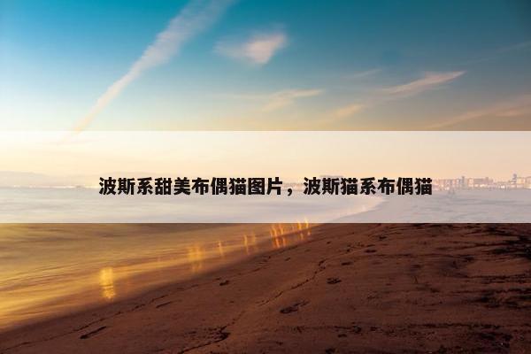波斯系甜美布偶猫图片，波斯猫系布偶猫