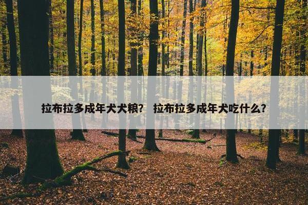 拉布拉多成年犬犬粮？ 拉布拉多成年犬吃什么？