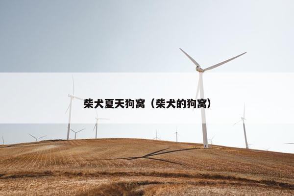 柴犬夏天狗窝（柴犬的狗窝）