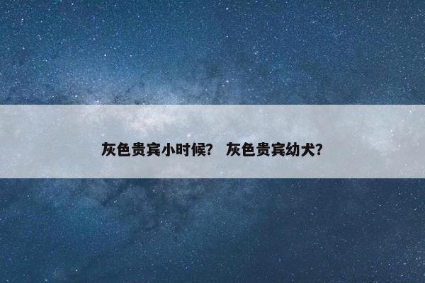 灰色贵宾小时候？ 灰色贵宾幼犬？