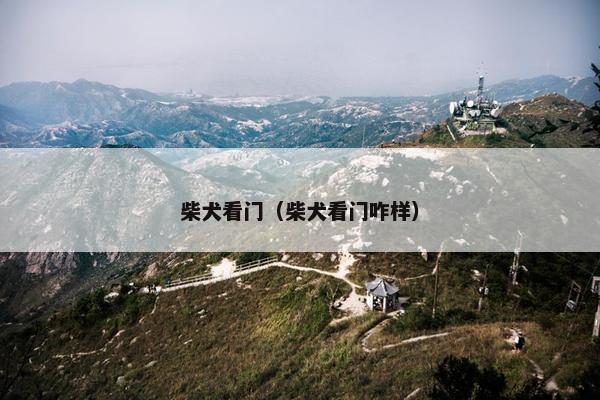 柴犬看门（柴犬看门咋样）