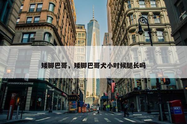 矮脚巴哥，矮脚巴哥犬小时候腿长吗