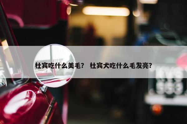 杜宾吃什么美毛？ 杜宾犬吃什么毛发亮？