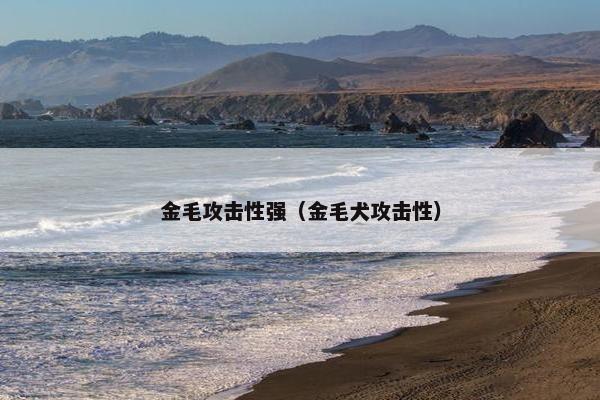 金毛攻击性强（金毛犬攻击性）