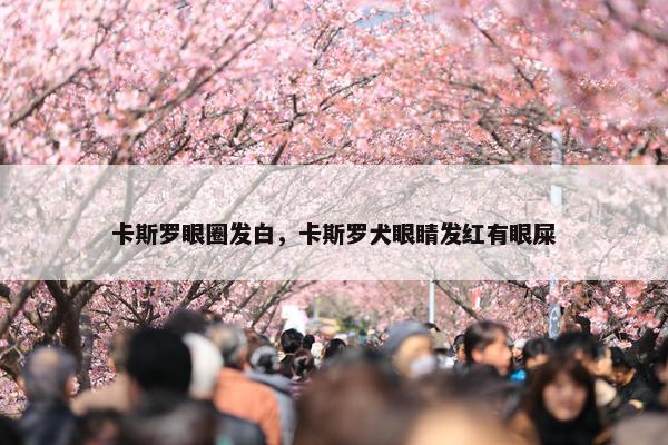 卡斯罗眼圈发白，卡斯罗犬眼睛发红有眼屎