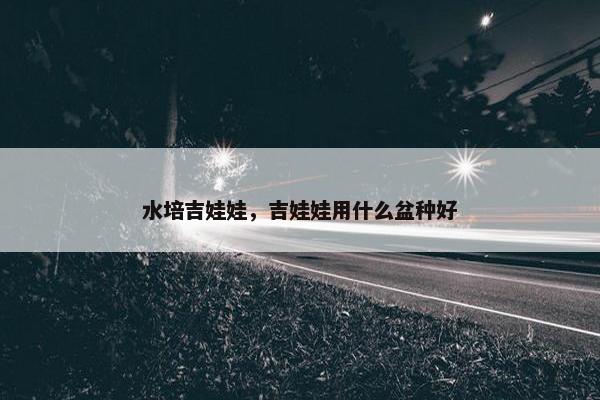 水培吉娃娃，吉娃娃用什么盆种好
