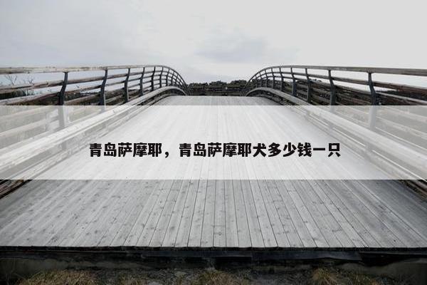 青岛萨摩耶，青岛萨摩耶犬多少钱一只