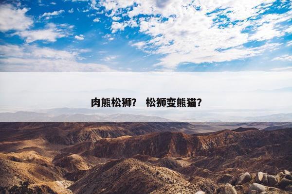 肉熊松狮？ 松狮变熊猫？