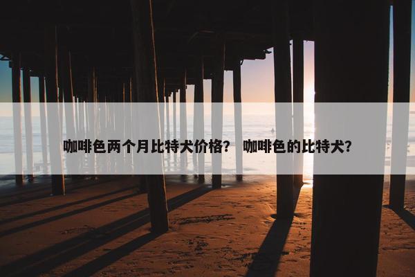 咖啡色两个月比特犬价格？ 咖啡色的比特犬？