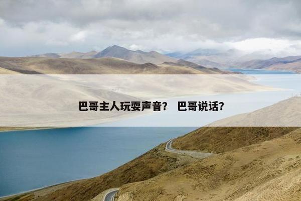 巴哥主人玩耍声音？ 巴哥说话？