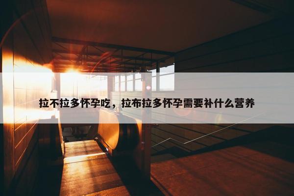 拉不拉多怀孕吃，拉布拉多怀孕需要补什么营养
