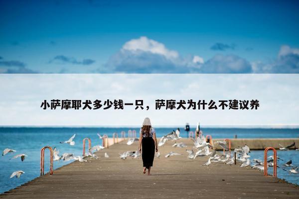 小萨摩耶犬多少钱一只，萨摩犬为什么不建议养
