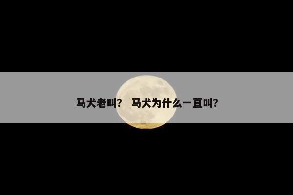马犬老叫？ 马犬为什么一直叫？