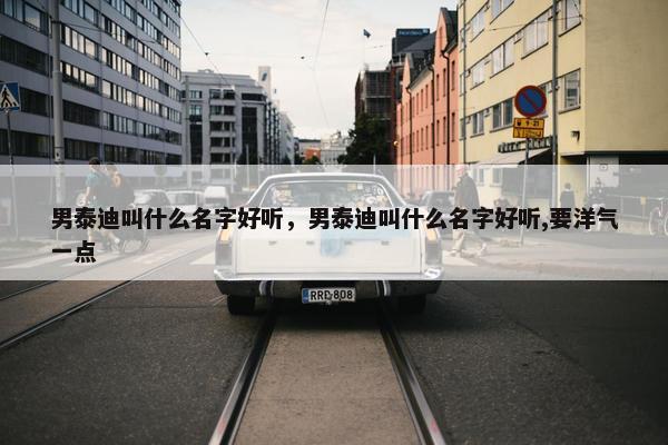 男泰迪叫什么名字好听，男泰迪叫什么名字好听,要洋气一点