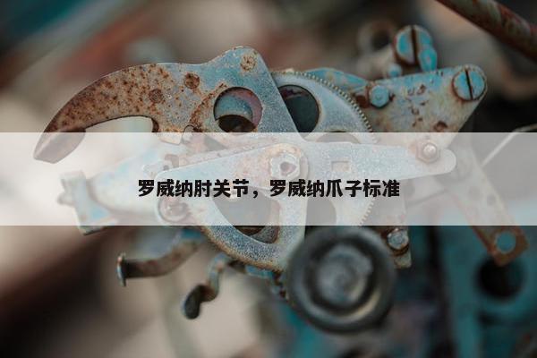 罗威纳肘关节，罗威纳爪子标准