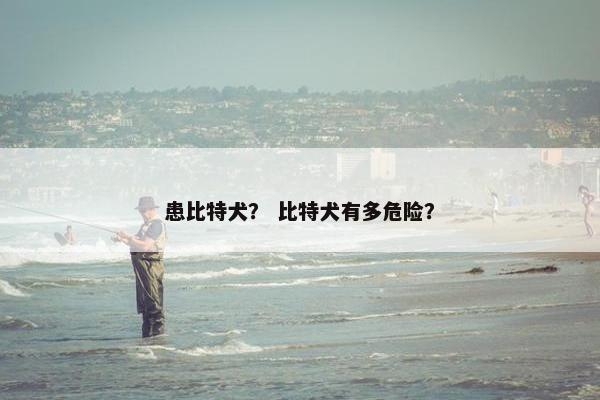 患比特犬？ 比特犬有多危险？