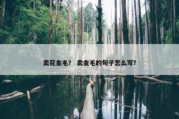卖花金毛？ 卖金毛的句子怎么写？