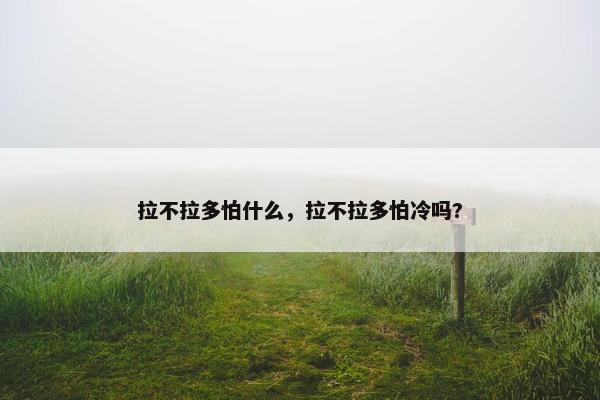 拉不拉多怕什么，拉不拉多怕冷吗?