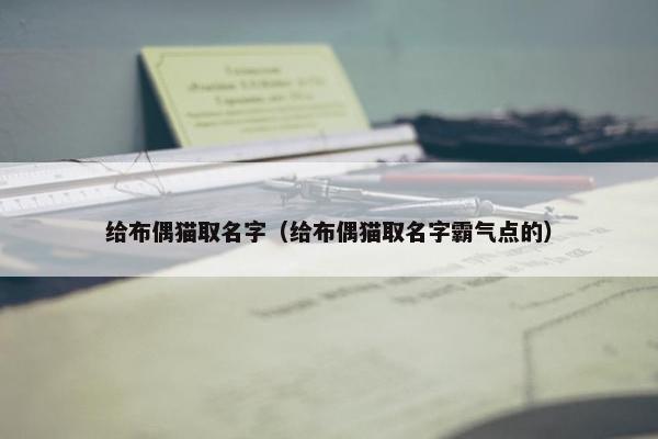 给布偶猫取名字（给布偶猫取名字霸气点的）