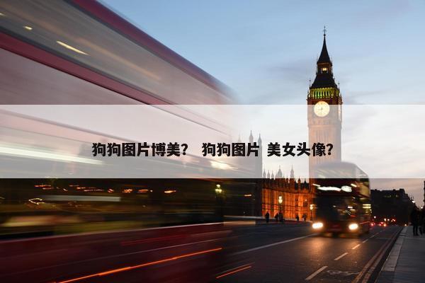 狗狗图片博美？ 狗狗图片 美女头像？