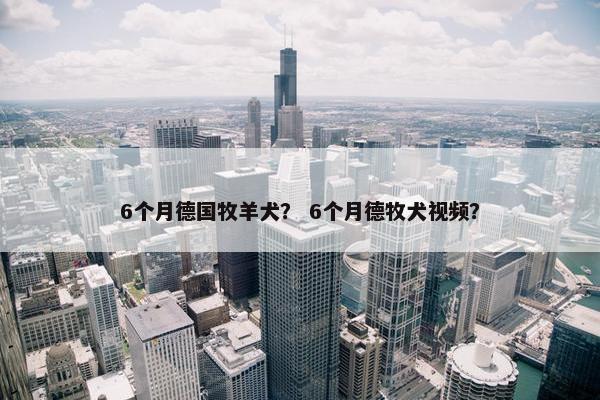 6个月德国牧羊犬？ 6个月德牧犬视频？