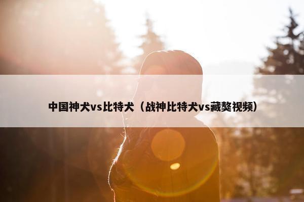 中国神犬vs比特犬（战神比特犬vs藏獒视频）