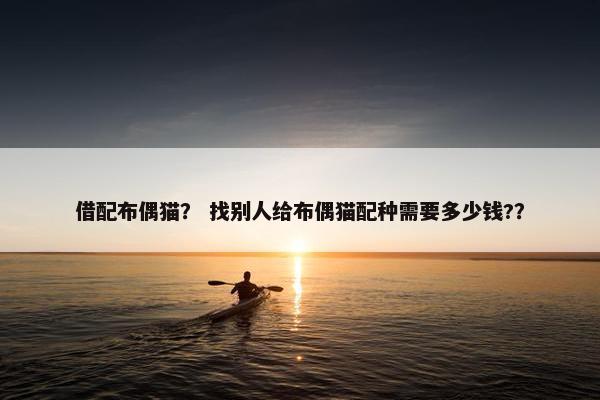 借配布偶猫？ 找别人给布偶猫配种需要多少钱?？