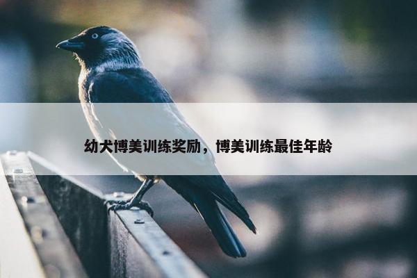 幼犬博美训练奖励，博美训练最佳年龄