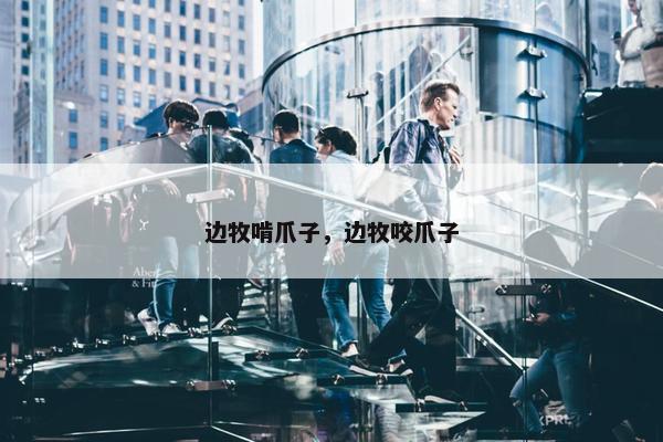 边牧啃爪子，边牧咬爪子