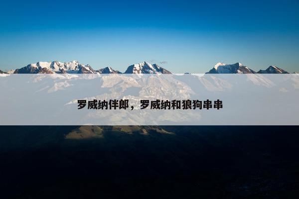 罗威纳伴郎，罗威纳和狼狗串串