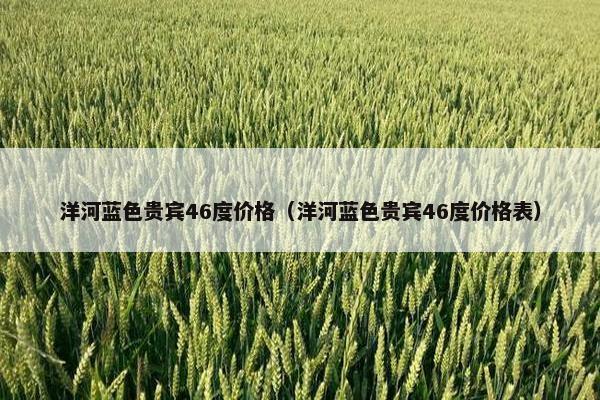 洋河蓝色贵宾46度价格（洋河蓝色贵宾46度价格表）