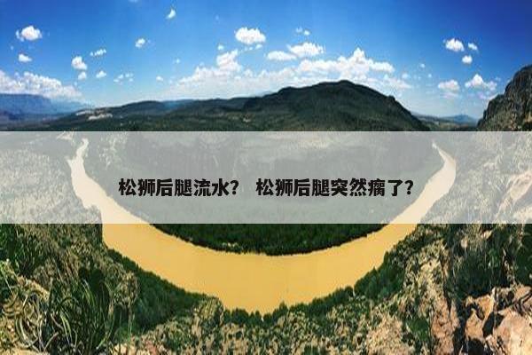 松狮后腿流水？ 松狮后腿突然瘸了？