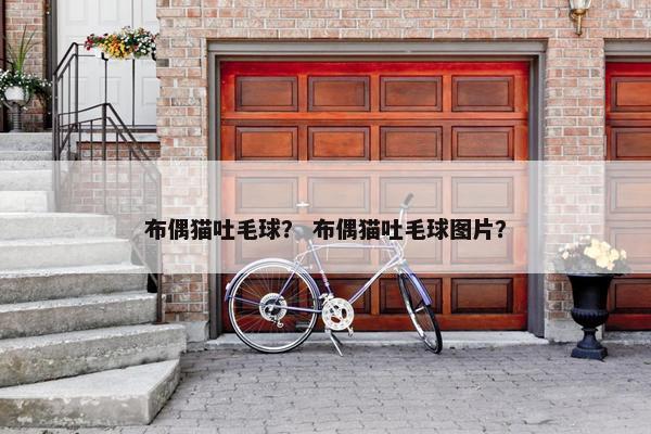布偶猫吐毛球？ 布偶猫吐毛球图片？