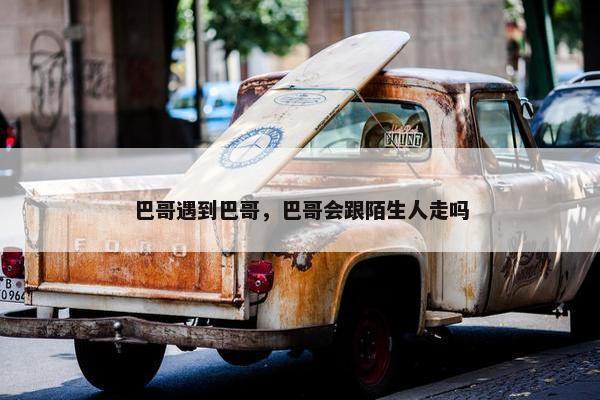巴哥遇到巴哥，巴哥会跟陌生人走吗