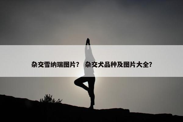 杂交雪纳瑞图片？ 杂交犬品种及图片大全？